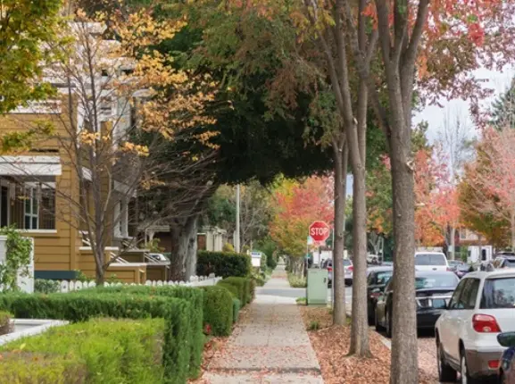 Sophisticated Cities in America